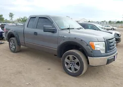 1FTRX12W89FB45937: 43383768