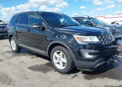 1FM5K8D88HGD96482: 43383934