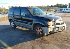 1FMYU04111KA73356: 43384173