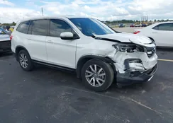 5FNYF5H54NB011381: 43385136