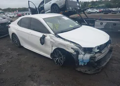 4T1G11BK8MU024444: 43392176