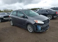 1FADP5AU4EL512867: 43393156