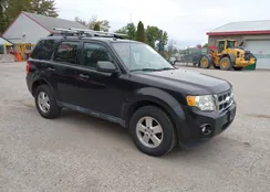 1FMCU9D75BKC46607: 43393373