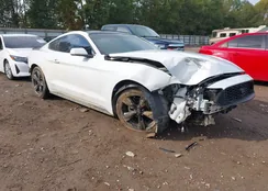 1FA6P8THXK5129204: 43395612