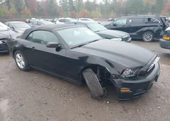 1ZVBP8EM0E5236377: 43399028