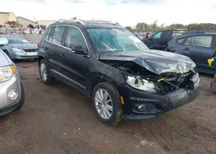 WVGBV7AX6GW505249: 43402800