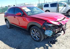 3MVDMBDM7RM641282: 43403638