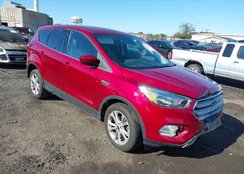 1FMCU0GD9KUB49279: 43403764