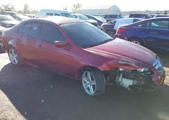 19UUA66276A036542: 43404302