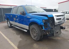 1FTFW1CF3DFA51977: 43405984