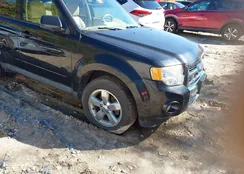 1FMCU9EG7BKB62979: 43406197