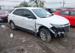 3GNAXHEG4RL196259: 43405333