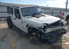 1C4HJXDNXJW206486: 43406732