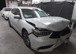 19UUB1F37LA005991: 43407590