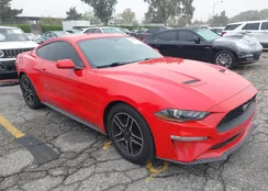 1FA6P8TH3J5166531: 43408676