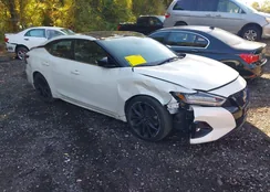 1N4AA6EVXPC513215: 43408755