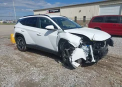 5NMJB3DE6RH420431: 43410495