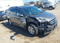 5FNRL5H69FB030905: 43411743