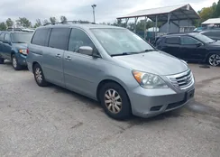 5FNRL38448B071299: 43412054