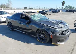 2C3CDXGJ5PH612116: 43412808