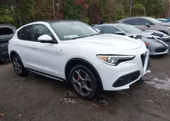 ZASPAKBN3N7D47229: 43413838