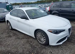 ZARFANAN1R7680791: 43415706