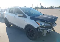 1FMCU9J92DUB06804: 43415883