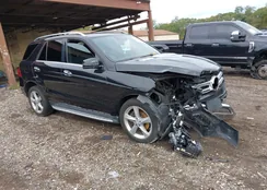 4JGDA5HB7GA736032: 43417904