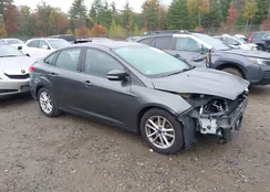 1FADP3F23GL354178: 43418304