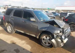 1FMCU0DG3BKA07679: 43419407