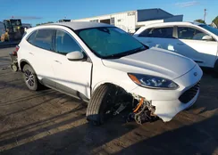 1FMCU0KZXNUA93862: 43420201