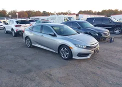 19XFC2F56HE231486: 43420236