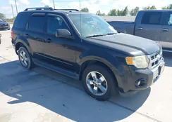 1FMCU0E75BKB72485: 43420243