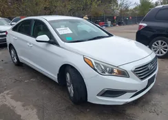 5NPE24AFXGH409078: 43421847