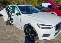 LYVA22RKXKB241729: 43421510