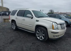 1GYFK13259R250022: 43423424