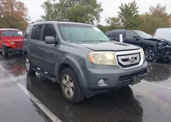 5FNYF4H49AB018743: 43427399