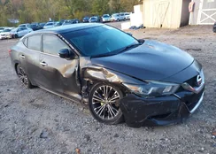 1N4AA6APXGC410075: 43431460