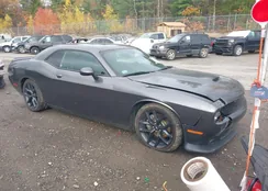 2C3CDZBT1NH156231: 43433886