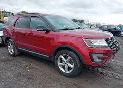 1FM5K8D8XHGB49156: 43433973