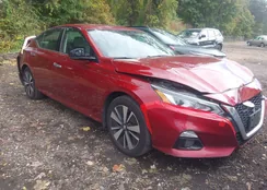 1N4BL4EV4MN385895: 43434956