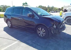 5FNRL5H43EB031206: 43435779