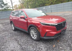 2HKRS4H75RH450267: 43437923