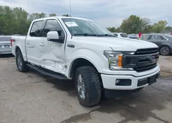 1FTEW1E55KFD29064: 43438604