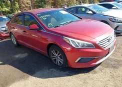 5NPE24AF1GH371952: 43439310