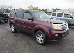 5FNYF48689B020299: 43440243