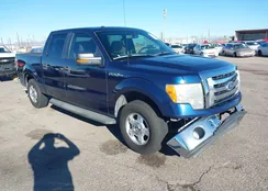 1FTFW1CF1BKD21261: 43440431