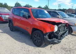 ZACCJBAB7JPH53610: 43441860