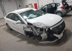 5NPE34AF8GH264796: 43441359