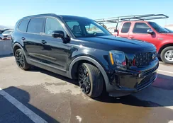 5XYP3DHC6MG190446: 43443055